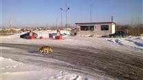 Продам срочно Автозаправку действующую