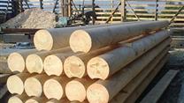 Продам производство оцилиндрованного бревна