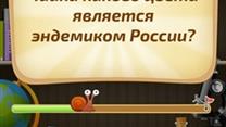 Продам мобильное приложение 