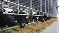 Продаётся крупное сельхозпредприятие в Южном фо.