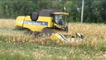 Продажа прибыльного сельхозпредприятия в Южном фо.