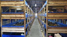 Продажа рыбоводческого комплекса (УЗВ) с земельным участком 5 га 
