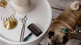 Сеть Груминг салонов