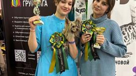 Сеть Груминг салонов