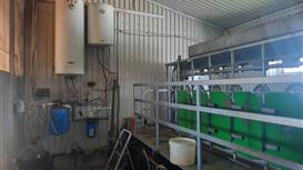 Сыроварня + ферма + 214 га + дом / 450-1000 кг сыра в месяц