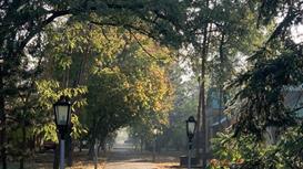 База отдыха действующая на берегу реки Ахтуба