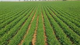 Имущественный комплекс, арендный бизнес