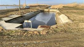 Продажа действующего бизнеса по выращиванию рыбы