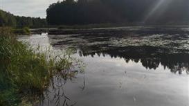 ОхотКордон в Подмосковье