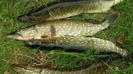 ОхотКордон в Подмосковье