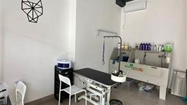 Сеть Груминг салонов