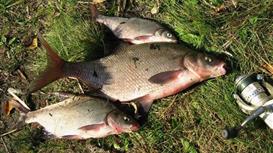 ОхотКордон в Подмосковье