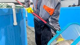 Продажа Форелевой фермы