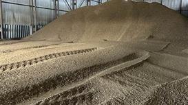 Действующий маслозавод полного цикла с вторичным отжимом