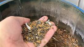 Действующий ювелирный завод