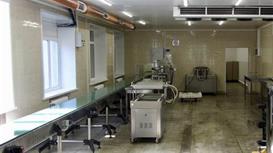 Действующее мясоперерабатывающее предприятие