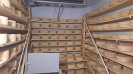 Сыроварня + ферма + 214 га + дом / 450-1000 кг сыра в месяц