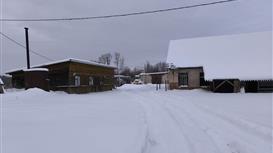 Производство по пepepaботке тонкомeрa с cушкoй и строжкой 1300м2, 1га.