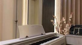 Продаётся прибыльный бизнес музыкальная школа и студия звукозаписи