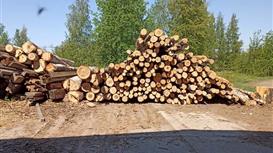 Деревообрабатывающий цех 850 кв.м.