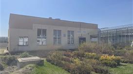 Действующее производство роз 3га в Беларуси — тепличный комплекс