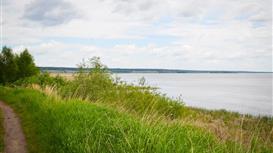 Продам земли лесного фонда на берегу реки ! 