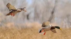 ОхотКордон в Подмосковье