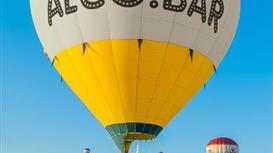 международный домен alco.bar