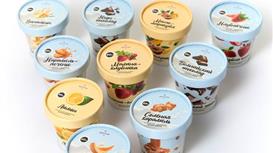 Инвестпроект ООО КОВТУН АЙС: крафтовое мороженое, выручка 50–60 млн