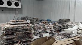 Крупнейший рыбокомбинат в Самарской области!