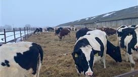 Продам действующий сельхоз бизнес в Тульской области Кимовском районе.