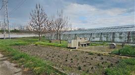 Производство приправ (с договорами поставок в крупные торгсети)