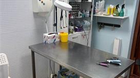 Продам ветеринарную клинику 