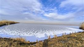 Продажа действующего бизнеса по выращиванию рыбы