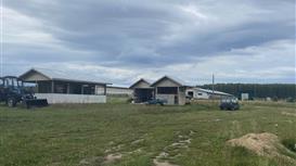 Продажа овцеводческой фермы в Нижегородской области