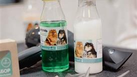 Сеть Груминг салонов