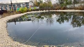 Продажа Форелевой фермы