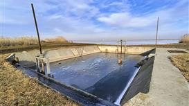 Продажа действующего бизнеса по выращиванию рыбы