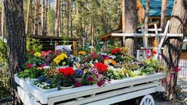 Продажа успешной гостиницы в сосновом бору: Готовый бизнес с потоком г