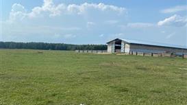 Продажа овцеводческой фермы в Нижегородской области