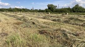 Продам действующий сельхоз бизнес в Тульской области Кимовском районе.