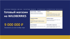 Готовый бизнес на Wildberries — 1 686 карточек, прибыль 13 млн в год