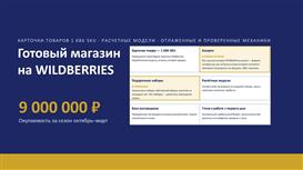 Готовый бизнес на Wildberries — 1 686 карточек, прибыль 13 млн в год