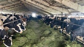 Продам действующий сельхоз бизнес в Тульской области Кимовском районе.