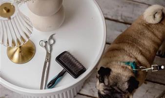 Сеть Груминг салонов