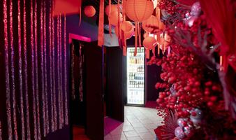 Японское капсульное караоке Tanoshi