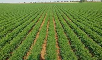 Имущественный комплекс, арендный бизнес