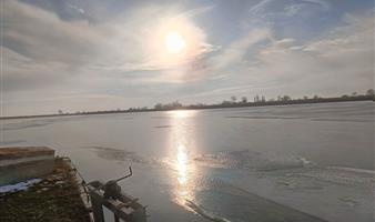 Продажа действующего бизнеса по выращиванию рыбы