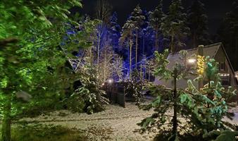 Глэмпинг в заказнике. 37 КМ от МКАД.  доход от 290 т.р