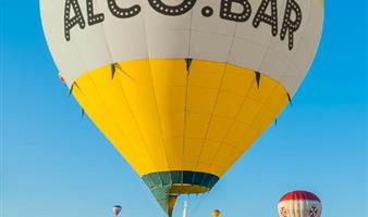 международный домен alco.bar